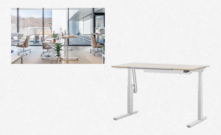 Classifying Visually Similar Furniture